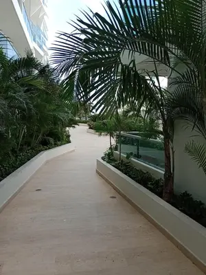 a walkway with a palm tree in a building at Descanso frente al mar in Cartagena de Indias