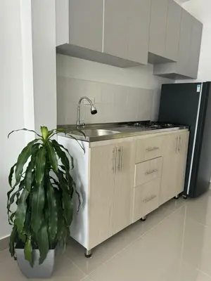 a kitchen with a sink and a potted plant at Apartamentos Cartagena Acuarium in Cartagena de Indias