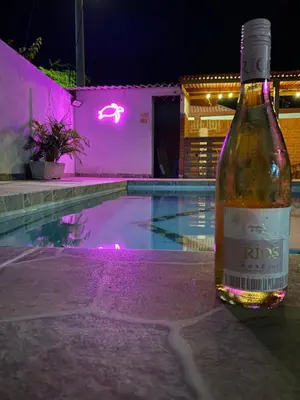 a bottle of wine sitting next to a swimming pool at Cabaña la casa de vero in Santa Veronica