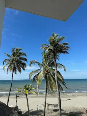 two palm trees on a beach with the ocean at 203 Apartamento Frente al Mar in San Bernardo del Viento