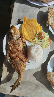 a plate of food with fish and chips and salad at Barracuda Glamping in Paso Nuevo