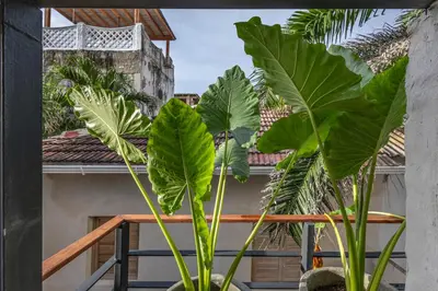 a pair of large green plants on a balcony at Casa Fernandez By SoHo in Cartagena de Indias