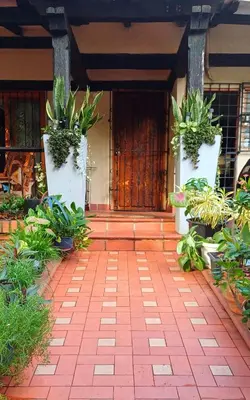 a porch with plants in front of a door at Habitación con baño privado en el corazón de Manga in Cartagena de Indias