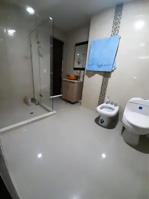 a bathroom with a shower and a toilet and a sink at Appartamento Italian Style in Cartagena de Indias
