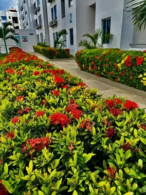 a garden of flowers in front of a building at Caribe campestre coveñas in Coveñas