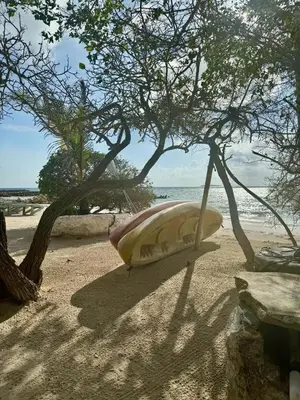 a boat sitting on the beach under a tree at Cabaña Azores, Barú, Cartagena in Baru