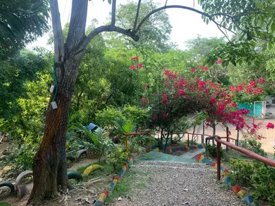 a path in a garden with pink flowers and a tree at Restaurante y Ecohostal Casa Loma in Chorrera