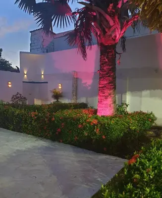 a palm tree in front of a building with a pink light at Ledymar Chalet in Cartagena de Indias