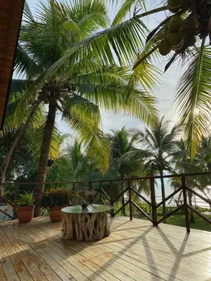 a patio with a table and some palm trees at Entre Palmas Cabañas in Moñitos