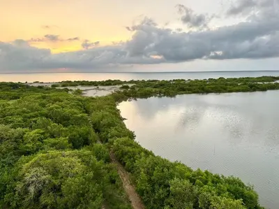 an aerial view of a body of water with trees at Mirador del Mar Playa Mendoza in Tubará