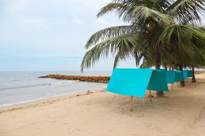 a row of chairs on a beach with palm trees at Magico Apartamento Frente al Mar 3 Habitaciones TR51 in Coveñas