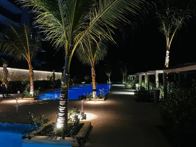 a group of palm trees in a courtyard at night at Mágico Apartamento - Vista Infinita al Mar in Cartagena de Indias