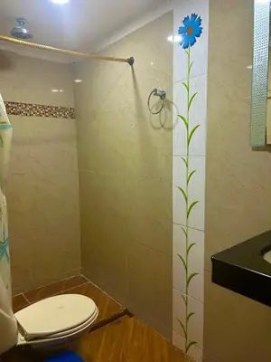a bathroom with a toilet and a shower with a flower on the wall at 1C-AL2J APARTAMENTO DE 1 ALCOBA CERCA AL MAR CON AIRE ACONDICIONADO PISCINA Y WIFi in Cartagena de Indias