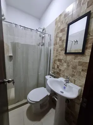a bathroom with a toilet and a sink and a mirror at MONTEMAR Casa 2 in Santiago