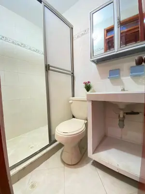 a bathroom with a toilet and a shower and a sink at Cabaña Tolu in Santiago