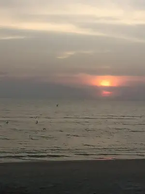 a group of birds flying over the ocean at sunset at Hostal Playa Descalzo in Cartagena de Indias