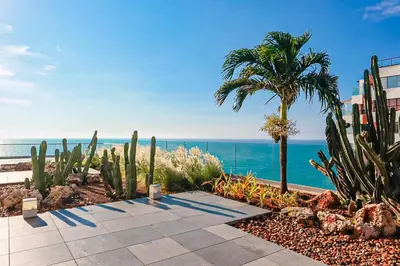 a pathway with a palm tree and the ocean at Dizztravel Apart H2 - 1602 Exclusivo Bocagrande in Cartagena de Indias
