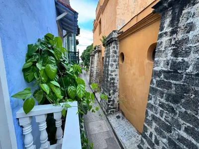 a plant in a white pot on the side of a building at Hotel Villa Alta Guest House in Cartagena de Indias