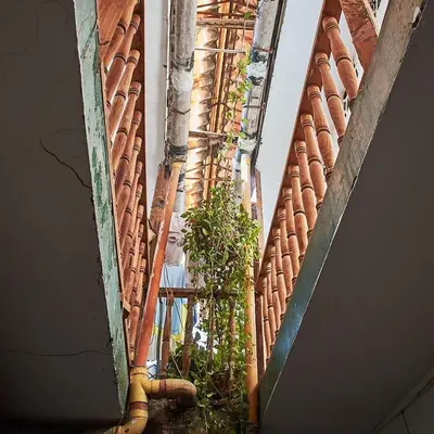 a balcony with a plant on the side of a building at Hostal la muralla getsemani in Cartagena de Indias