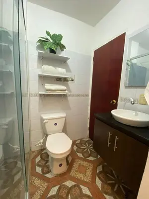 a bathroom with a toilet and a sink at Cabaña Tolu Sucre in Santiago