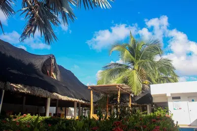 a resort with a palm tree and a building at Chalet Ledymar in Cartagena de Indias