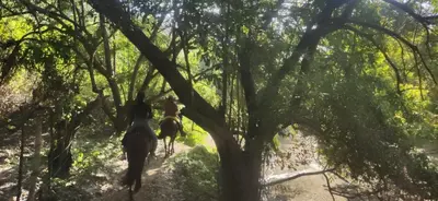 two people riding horses on a trail through a tree at Alquiler de caballos y cabalgatas por el Atlántico in Baranoa