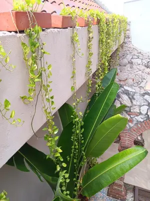 Gallery image of Habitación en Getsemaní POD A in Cartagena de Indias