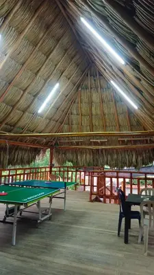 a green ping pong table in a straw hut at cabaña villa luz in Santa Veronica