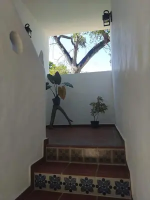 a stairway with a window with a tree in the background at Hotel Heliopolis in Coveñas