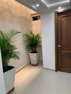 a hallway with two potted plants and a door at Hotel Boulevard 58 in Galapa