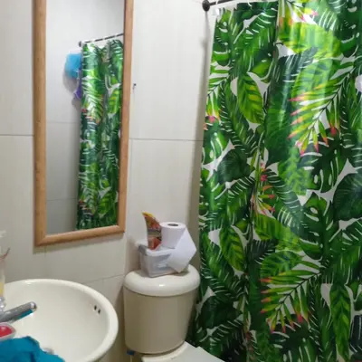 a bathroom with a toilet and a green leaf shower curtain at comodo apartamento in Barranquilla