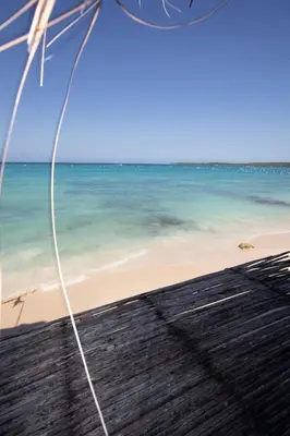 a view of a beach with the ocean at CARDUMEN ARTE y COCINA in Cartagena de Indias
