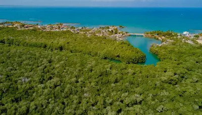 an island with a body of water and trees at La Morada Apartamento in Coveñas