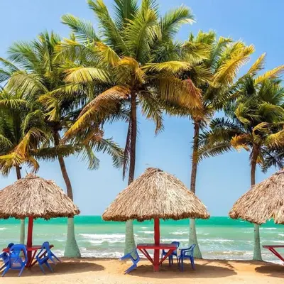 a beach with palm trees and chairs and umbrellas at La Morada Apartamento in Coveñas