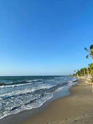 a beach with a palm tree and the ocean at Taipan Casa de Playa in El Puertón