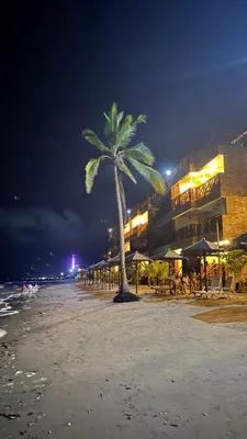 a palm tree on the beach at night at Eco Hotel Laguna Beach - Bloque 8 Suite 101 in San Silvestre