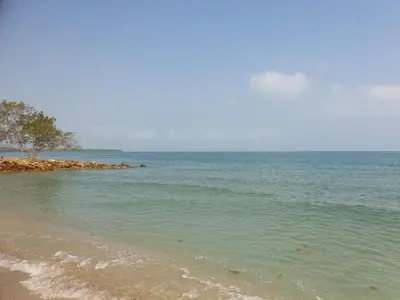 a beach with a tree in the middle of the water at Glamping Arena in El Porvenir