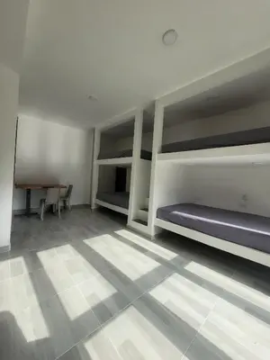 a room with two bunk beds and a table at Playa y selva in Puerto Viejo