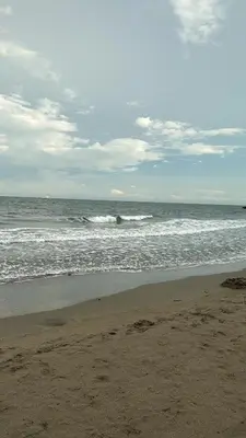 a sandy beach with waves in the ocean at Playa y selva in Puerto Viejo