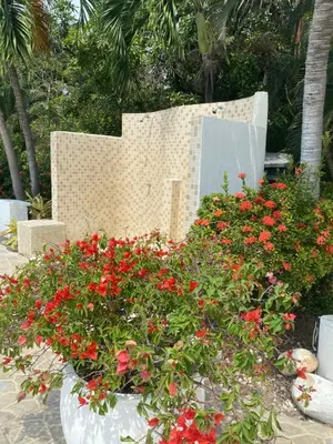 a bouquet of red flowers in front of a wall at Playa Los alcatraces in Santa Marta