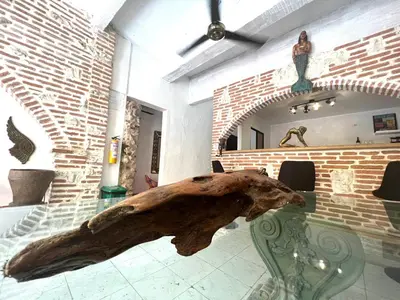 a museum with a large piece of drift wood on a table at Pachamama Hostel in Cartagena de Indias