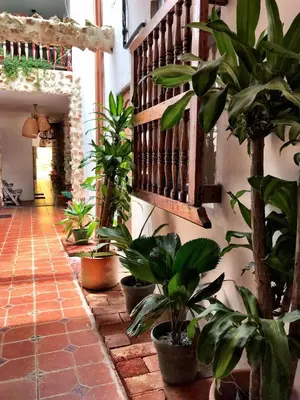 a hallway with potted plants on the wall at Pachamama Hostel in Cartagena de Indias