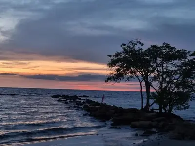 a tree on the shore of the ocean at sunset at Espectacular apto frente al mar in Coveñas