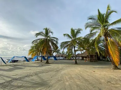 a sandy beach with palm trees and a playground at Espectacular apto frente al mar in Coveñas