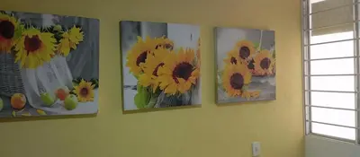 four paintings of sunflowers on a wall at Turquesa a 5 Minutos del aereopuerto Daniel Lemaitre in Cartagena de Indias