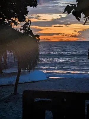 a sunset over the ocean with a tree in the foreground at Casa en el Mar in San Onofre