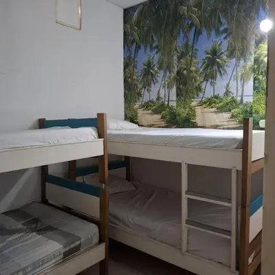 a room with two bunk beds with palm trees at Habitación Girasoles in Cartagena de Indias