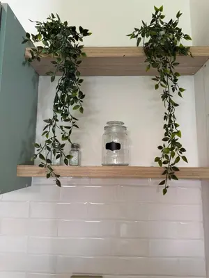 a shelf with two plants and a jar on it at Comfort Retreat in Bocagrande in Cartagena de Indias
