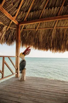 a statue of a bird sitting on a stump on the beach at Hotel isla bonita in Tintipan Island