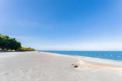 a sandy beach with trees and the ocean at Modern and cozy Beachfront house Santa Marta 7pax in Simón Bolívar International Airport